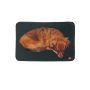Tapis réchauffant pour chien